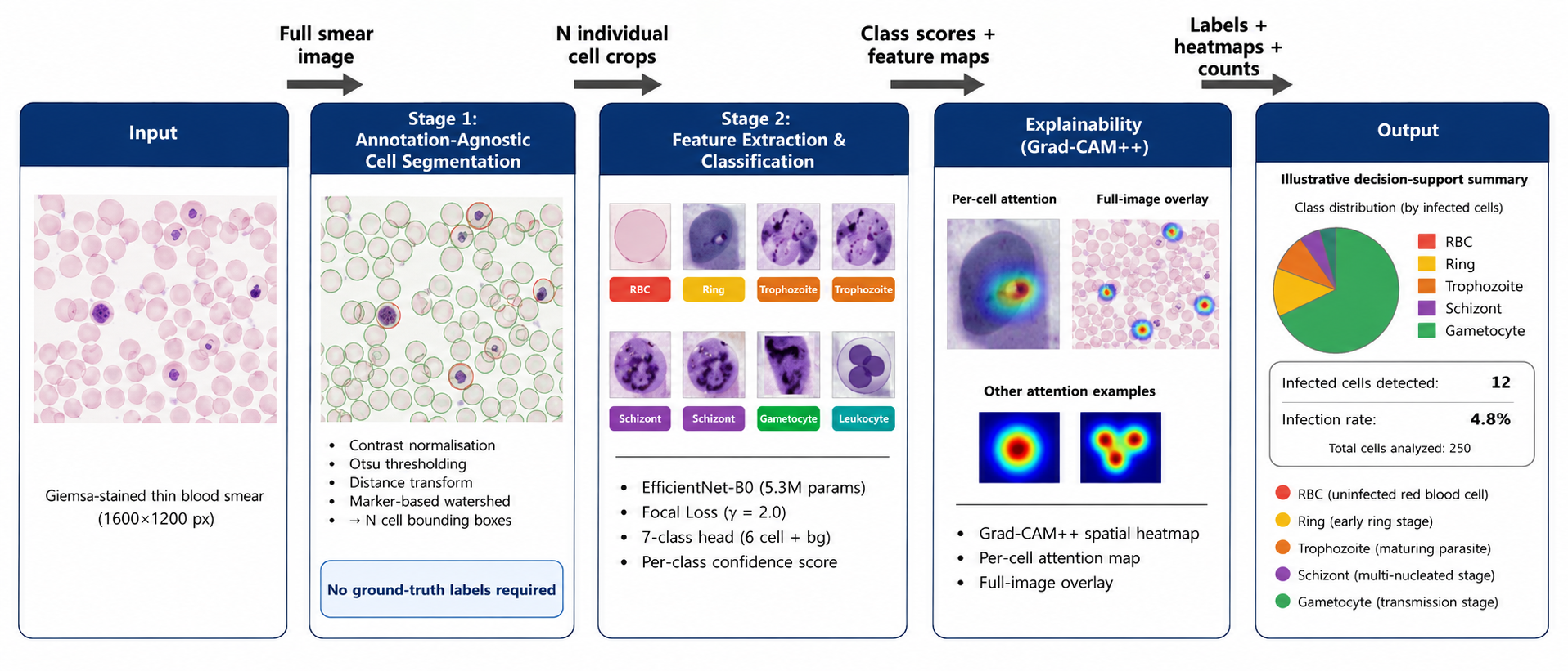 MalariAI: Automated Malaria Cell Segmentation and Classification from Blood Smear Images